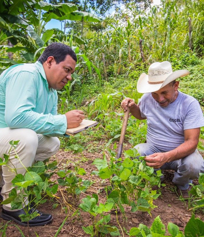 Zwei honduranische Männer kümmern sich um ihre Nutzpflanzen