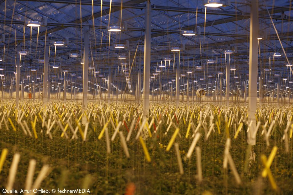 Wie-wird-die-Stadt-satt_2-1024x683