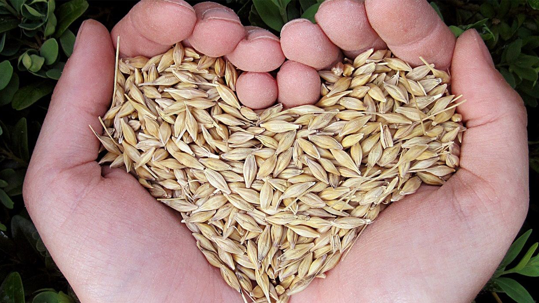 Ökosoziale Dimension