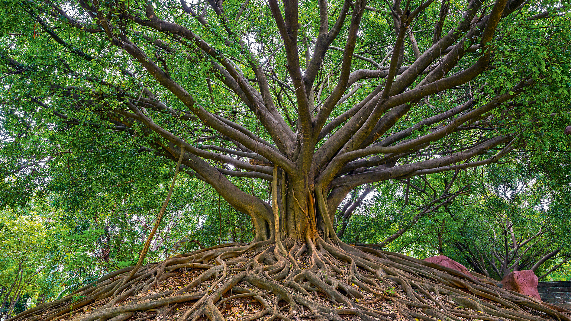 Spirituelle Dimension Web