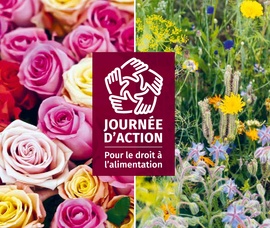 Journée d'action pour le droit à l'alimentation