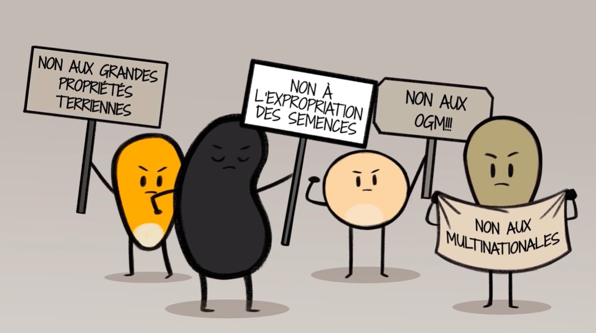 semences en résistance